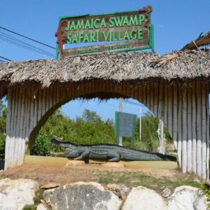 Swamp Safari Village Falmouth