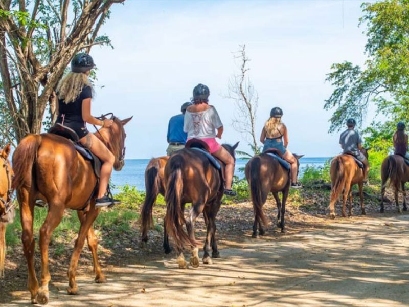 affordable-tours-jamaica-attractions-horseback-riding-mobay-1