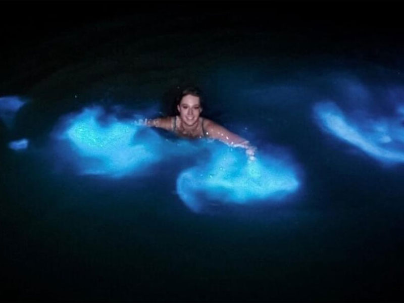 affordable-tours-jamaica-attractions-luminous-lagoon-2