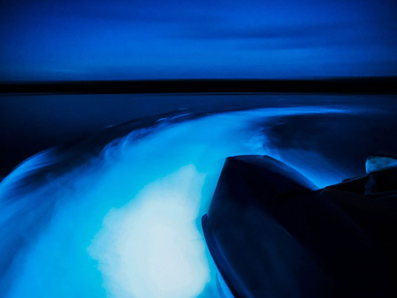 affordable-tours-jamaica-attractions-luminous-lagoon