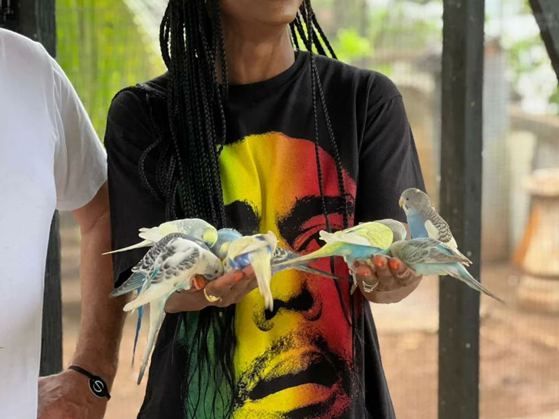 affordable-tours-jamaica-attractions-weed-farm-tour-2